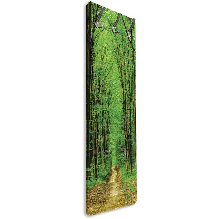 Κρεμάστρα - Καλόγερος Πράσινο δάσος