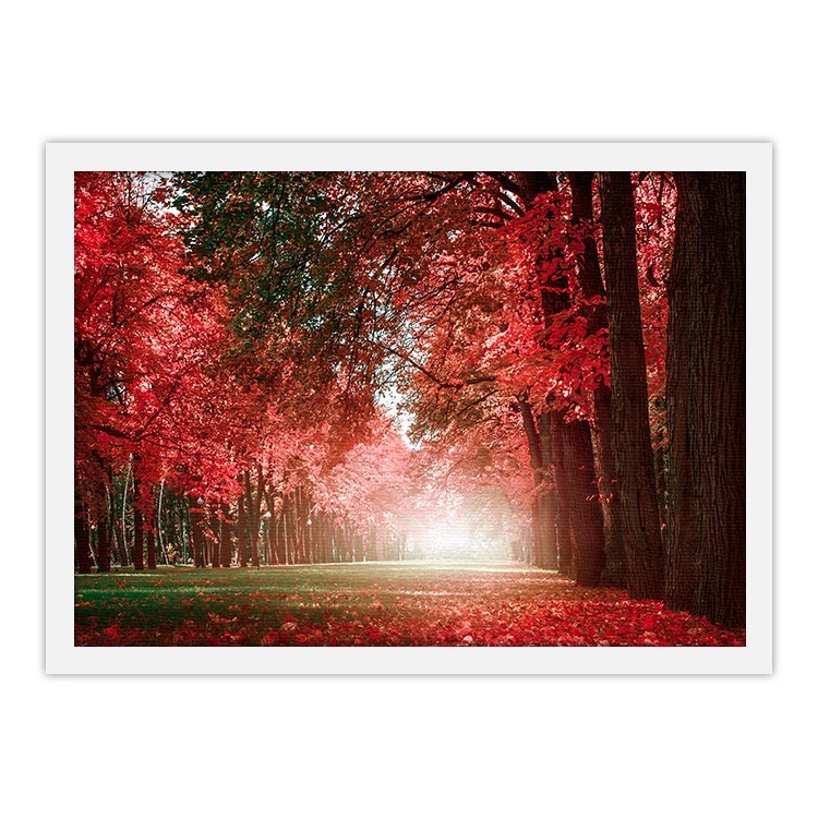 Πίνακας σε Καμβά Δέντρα με Κόκκινα Φύλλα