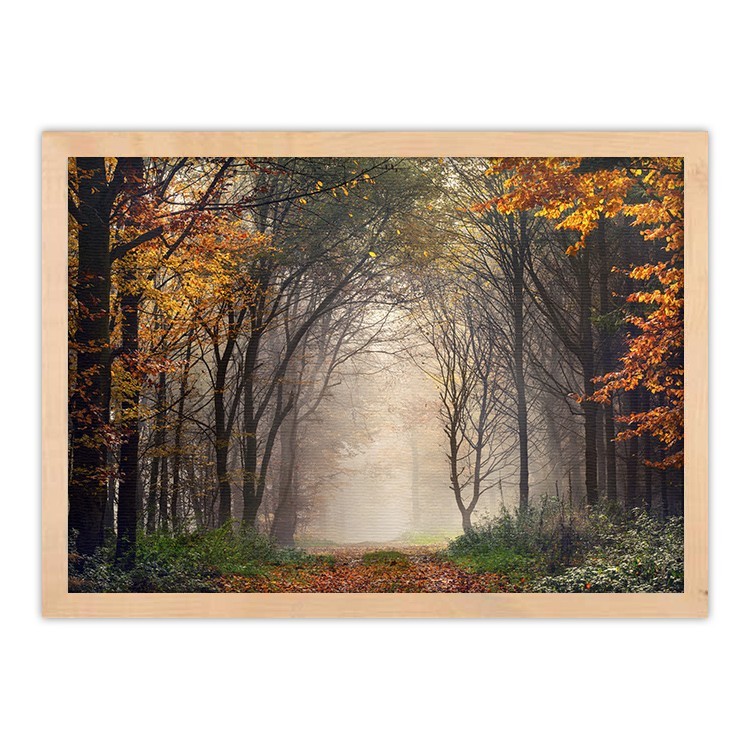 Πίνακας σε Καμβά Ομίχλη μέσα στο Δάσος
