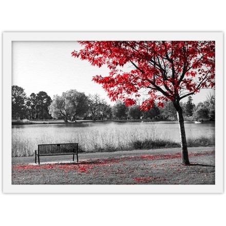 Κόκκινο Δέντρο στο ποτάμι
