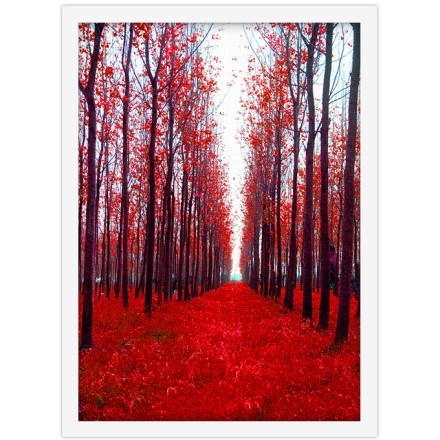 Κόκκινο Δάσος Πίνακας σε Καμβά