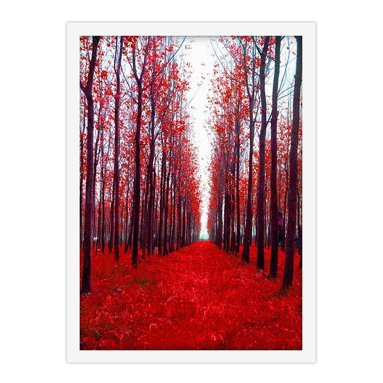 Πίνακας σε Καμβά Κόκκινο Δάσος