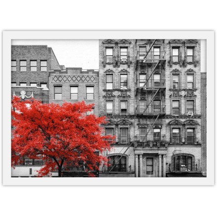 Red Tree in the Town