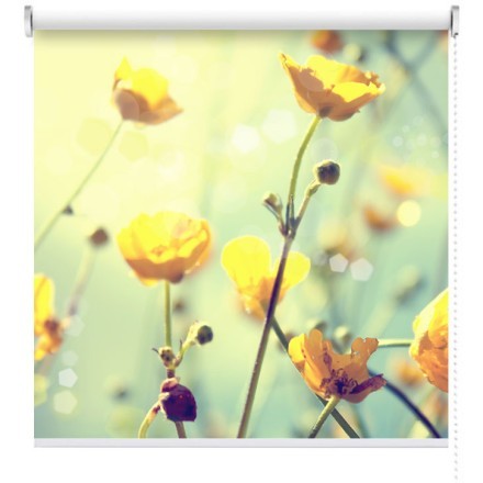 Κίτρινο λουλούδι Ρολοκουρτίνα - Ρόλερ Σκίασης
