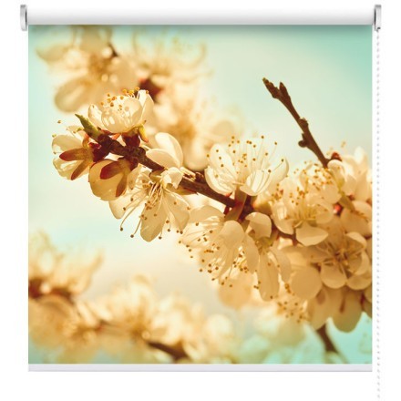 Άνθη κερασιάς Ρολοκουρτίνα - Ρόλερ Σκίασης