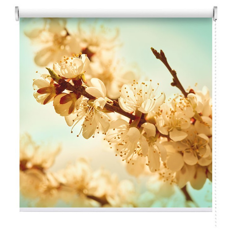 Ρολοκουρτίνα - Ρόλερ Σκίασης Άνθη κερασιάς