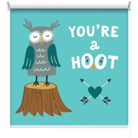 You are a hoot Ρολοκουρτίνα - Ρόλερ Σκίασης