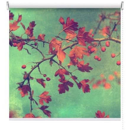 Φθινοπωρινά φύλλα Ρολοκουρτίνα - Ρόλερ Σκίασης