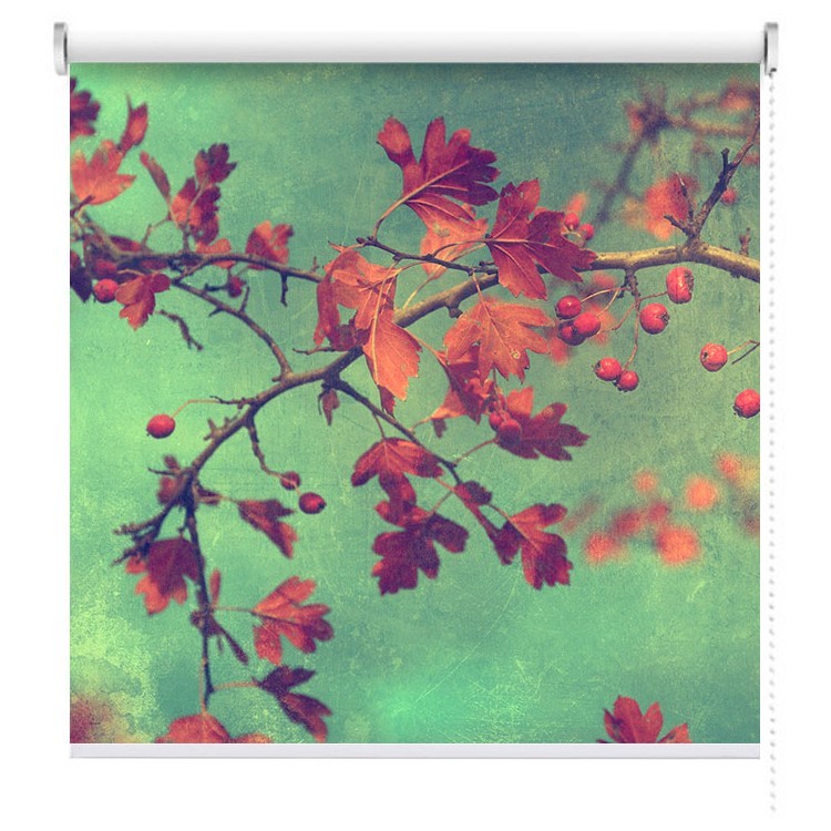 Ρολοκουρτίνα - Ρόλερ Σκίασης Φθινοπωρινά φύλλα