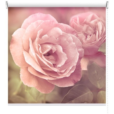 Ροζ Τριαντάφυλλα Ρολοκουρτίνα - Ρόλερ Σκίασης