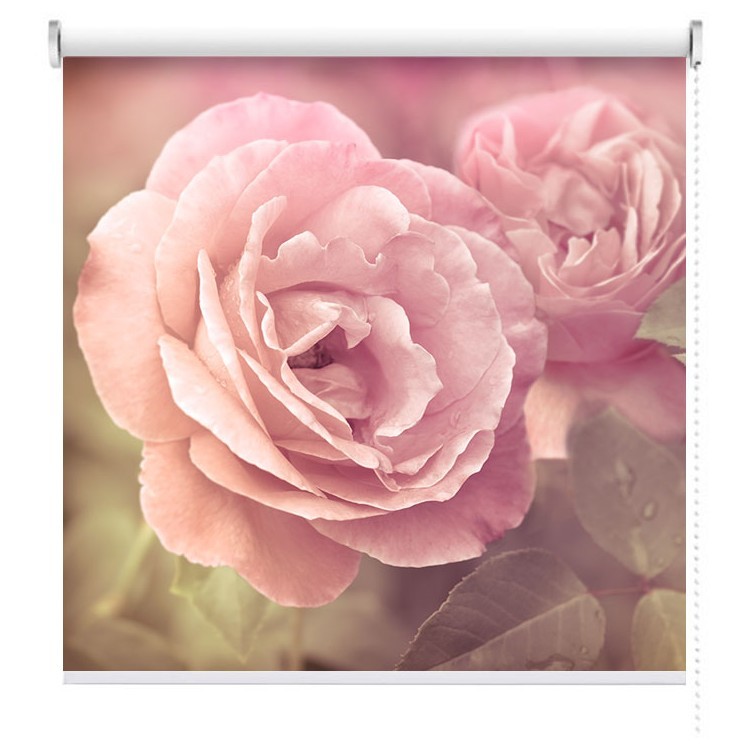 Ρολοκουρτίνα - Ρόλερ Σκίασης Ροζ Τριαντάφυλλα