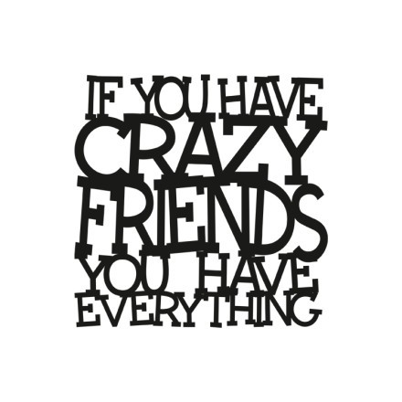 If You Have Crazy Friends