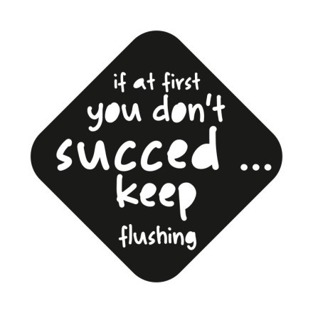If At First You Don't Succed...