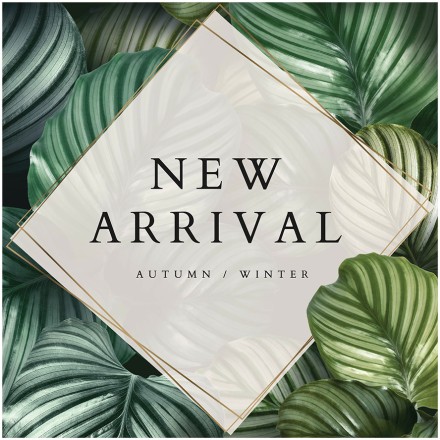 Autumn - Winter