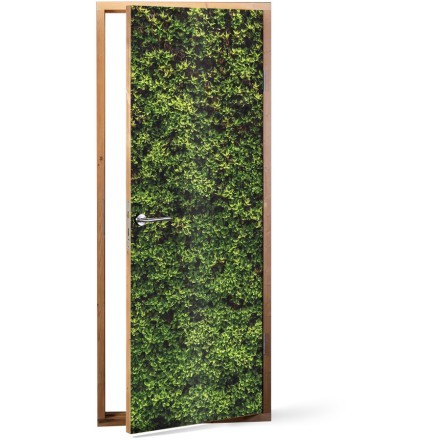 Πράσινη βρύα Αυτοκόλλητο Πόρτας