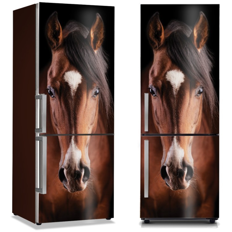 Αυτοκόλλητο Ψυγείου Καφέ άλογο