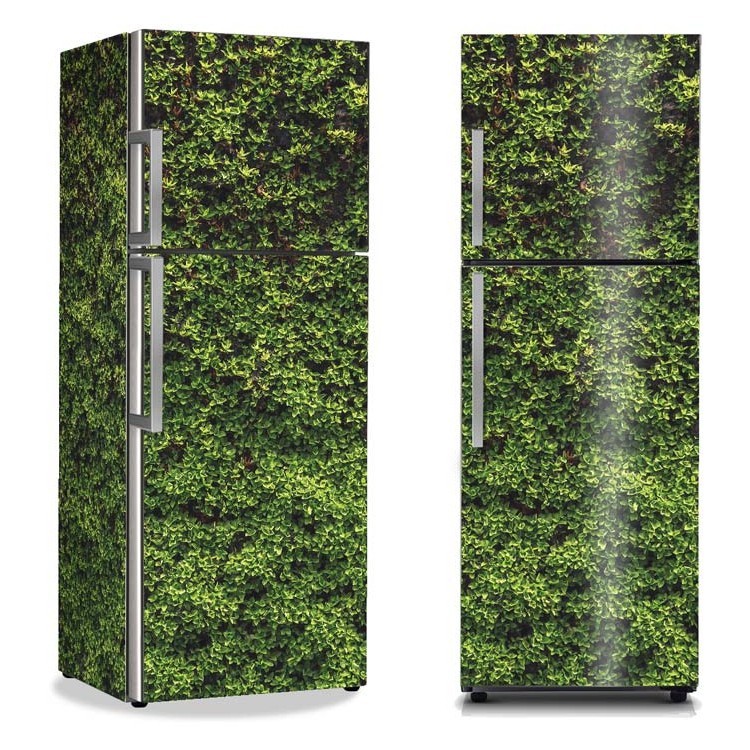 Αυτοκόλλητο Ψυγείου Πράσινη βρύα
