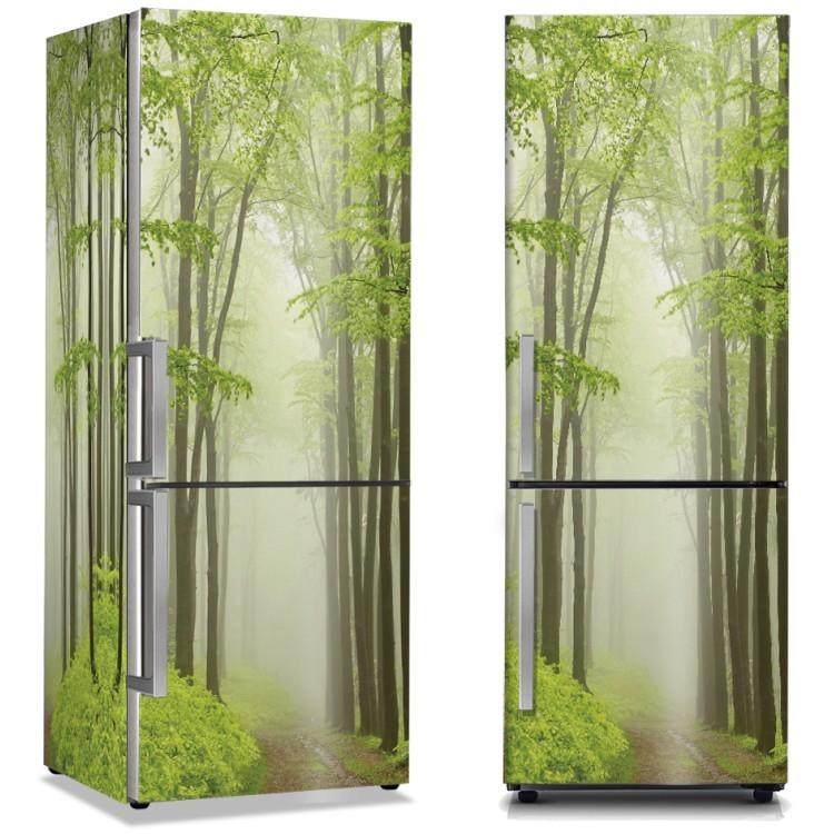 Αυτοκόλλητο Ψυγείου Πράσινα ψηλά δέντρα