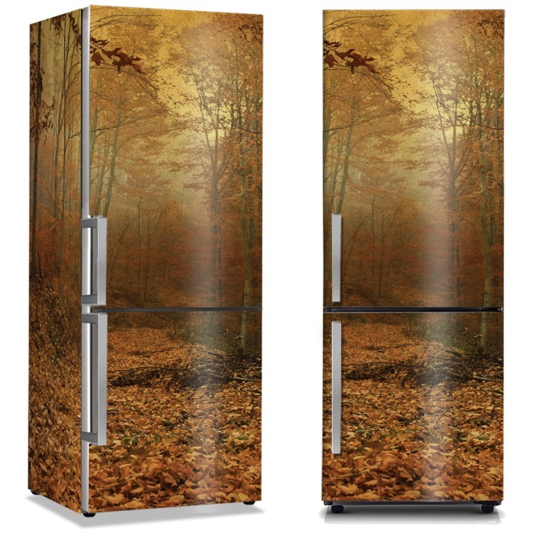 Αυτοκόλλητο Ψυγείου Φθινοπωρινό δάσος