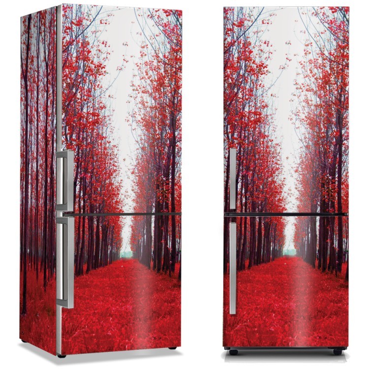 Αυτοκόλλητο Ψυγείου Κόκκινα φύλλα δέντρων στο δρόμο