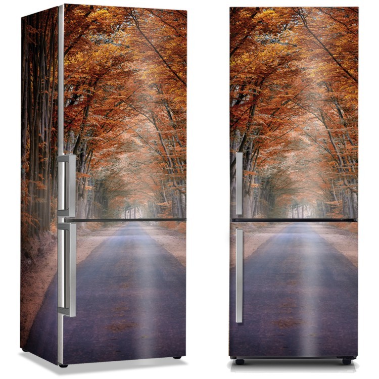 Αυτοκόλλητο Ψυγείου Δρόμος κάτω από τα αποξηραμένα φύλλα