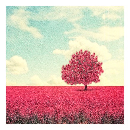 Δέντρο σε ροζ χωράφι