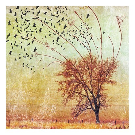 Δέντρο με πουλιά