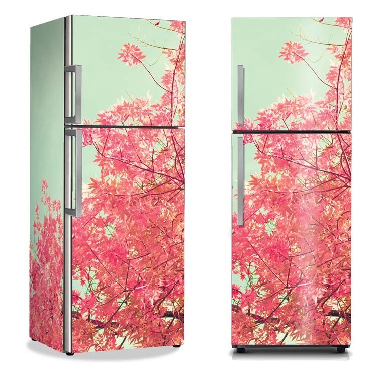 Αυτοκόλλητο Ψυγείου Φθινοπωρινό λουλούδι