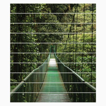 Πράσινη γέφυρα