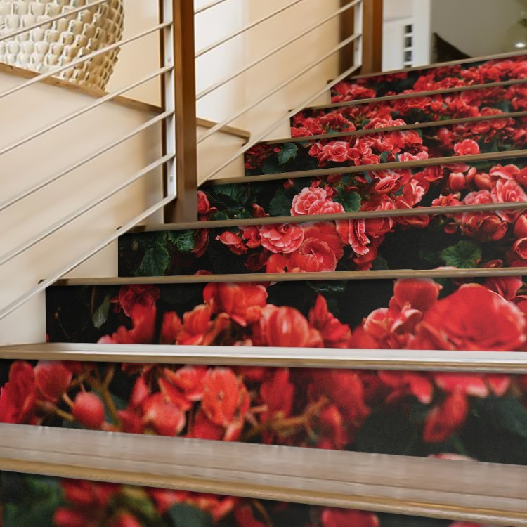 Αυτοκόλλητο Σκάλας Κόκκινα τριαντάφυλλα