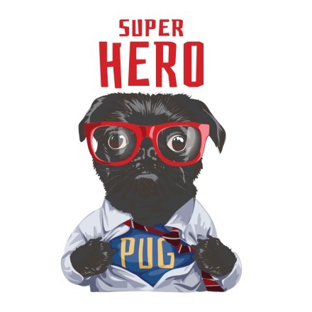 Super hero dog