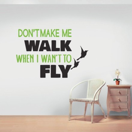 Walk Fly