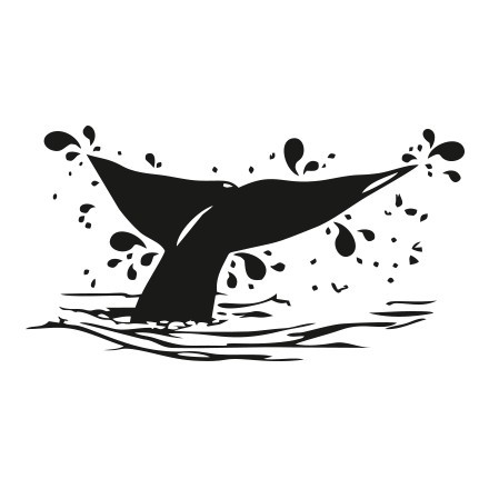 Ουρά φάλαινας