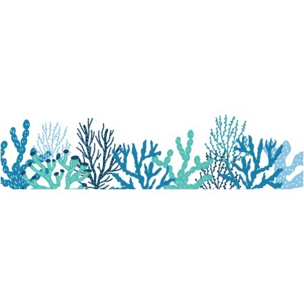 Φυτά θάλασσας