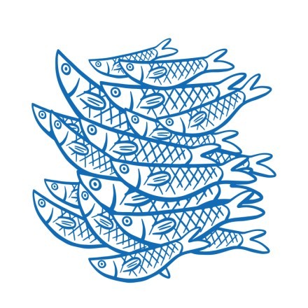 Κοπάδι μπλε ψαριών