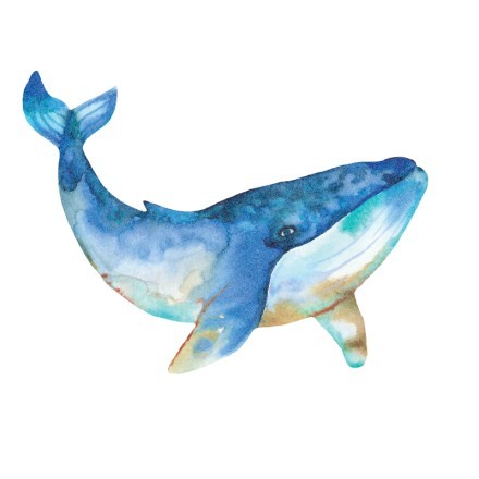 Μπλε φάλαινα-2