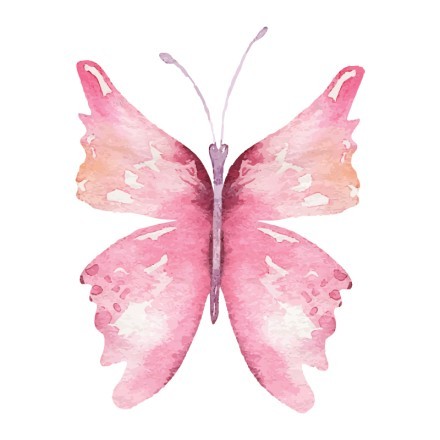 Ροζ πεταλούδα