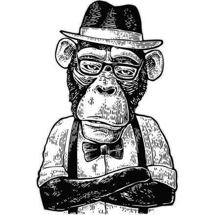 Hipster Monkey