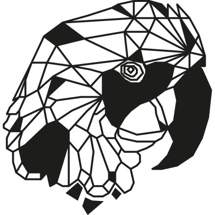 Parrot