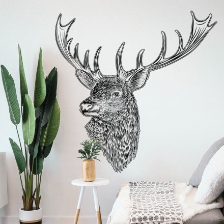 Reindeer