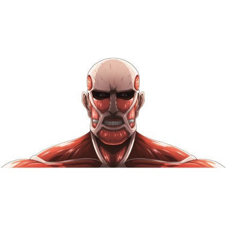 Colossal Titan - Attack on Titan
