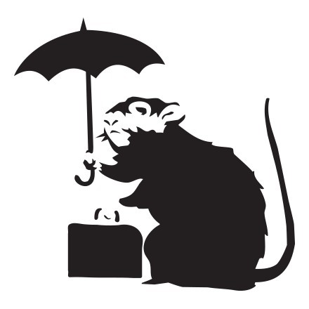 Umbrella rat