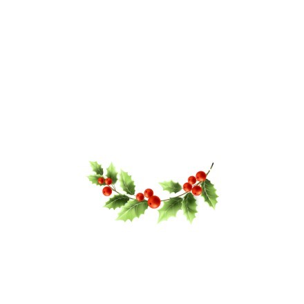 Merry Christmas - Berries