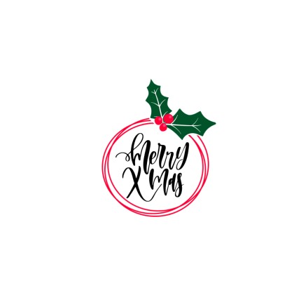Xmas Mistletoe