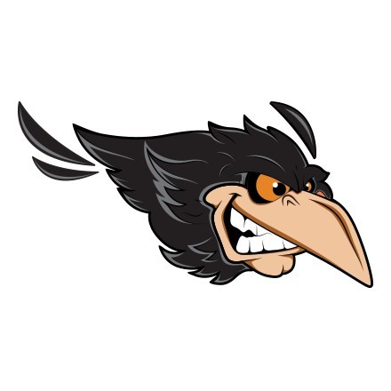 Black bird