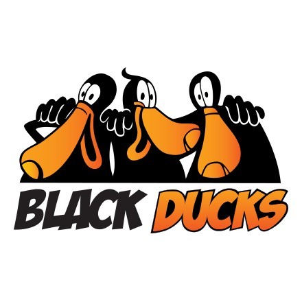 Black Ducks