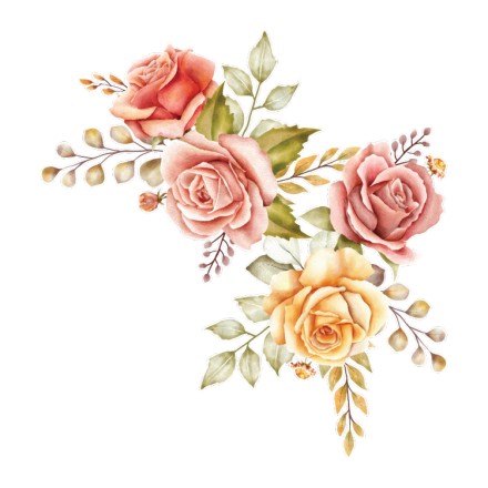 Roses