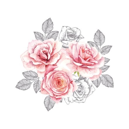Ροζ Τριαντάφυλλα