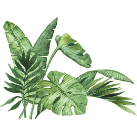 Banana leaves