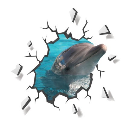 Χαριτωμένο δελφίνι